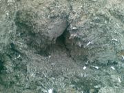 Отходы горячего цинкования куплю.