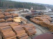 Продам лес кругляк! ООО